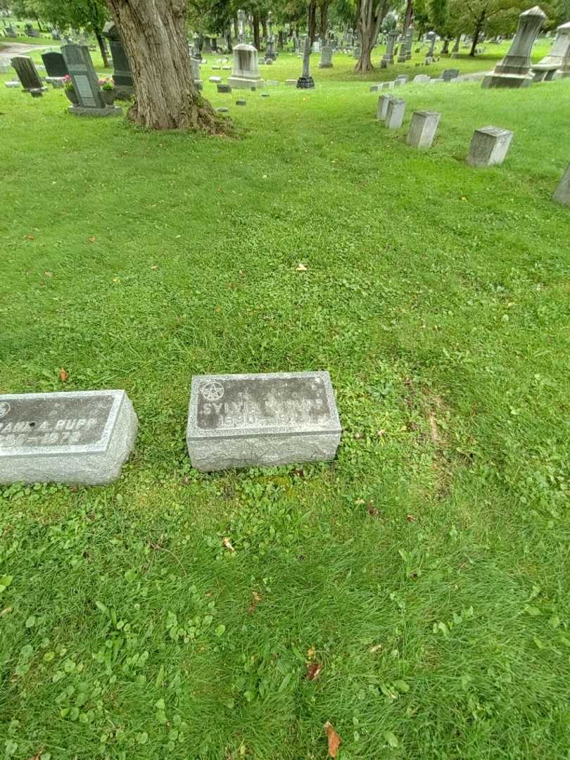 Sylvia M. Rupp's grave. Photo 1