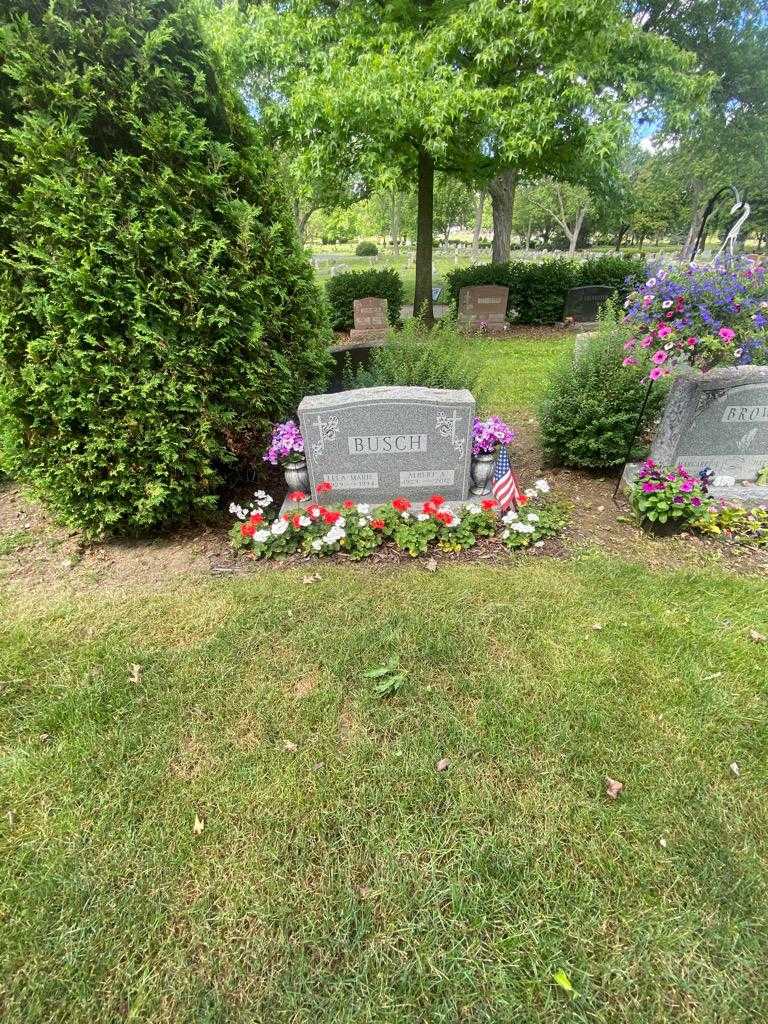 Albert A. Busch's grave. Photo 1