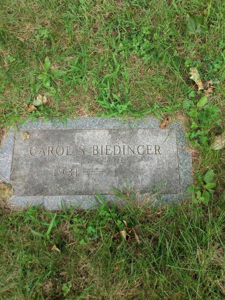 Carol S. Biedinger's grave. Photo 3