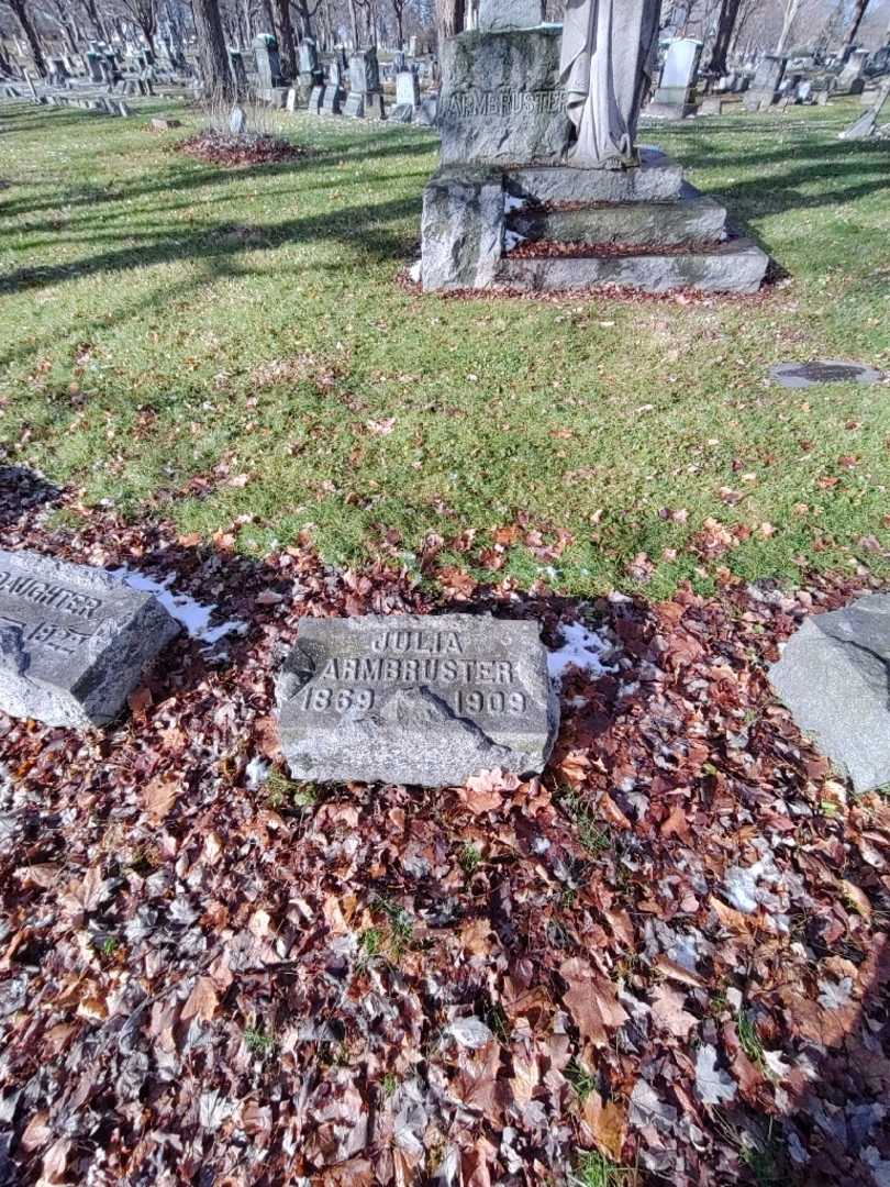 Julia Armbruster's grave. Photo 1