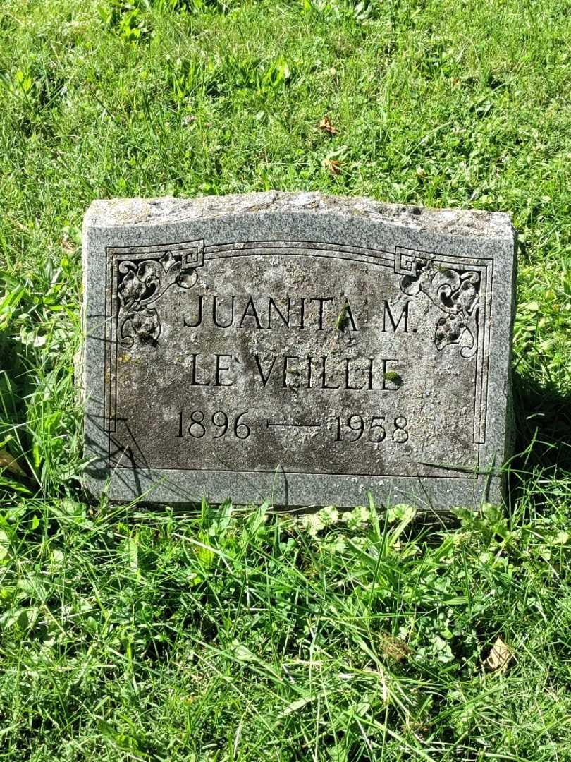 Juanita M. Leveillie's grave. Photo 3