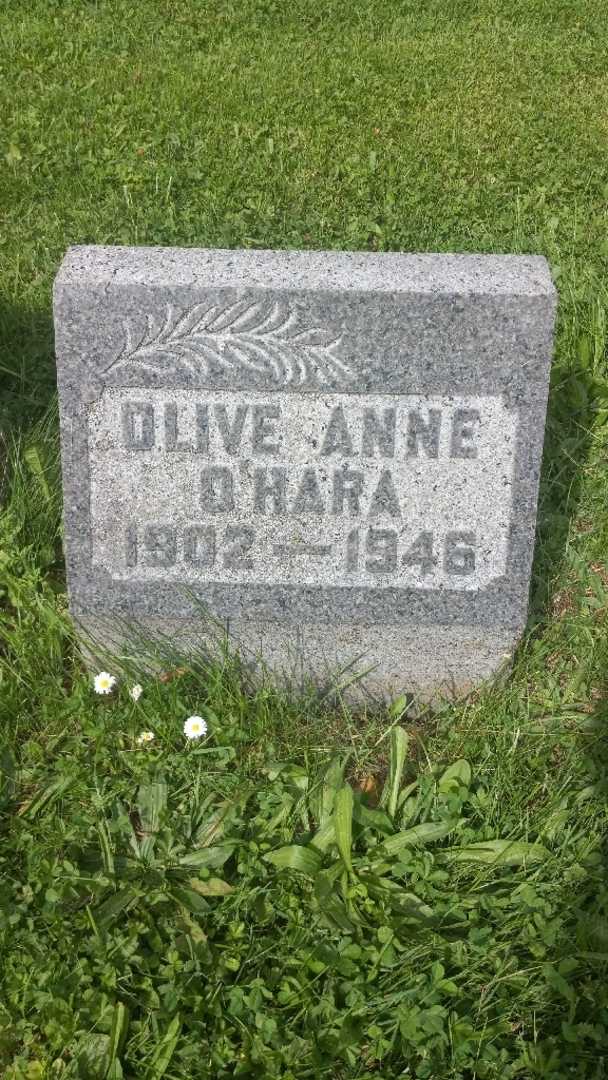 Olive Anne O'Hara's grave. Photo 4