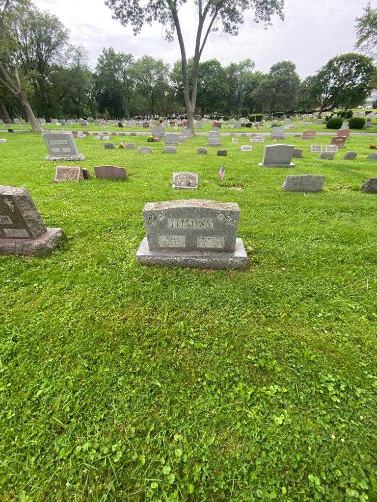 Charles W. Fellows's grave. Photo 1