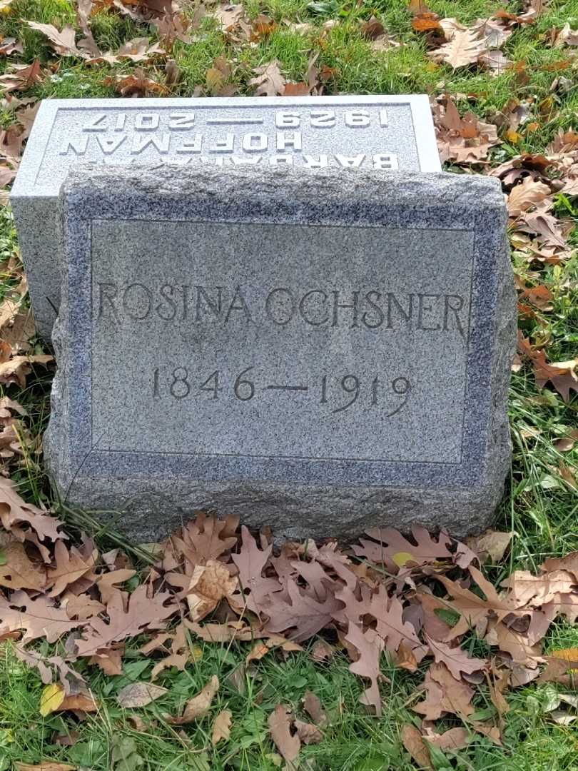 Rosina Ochsner's grave. Photo 4