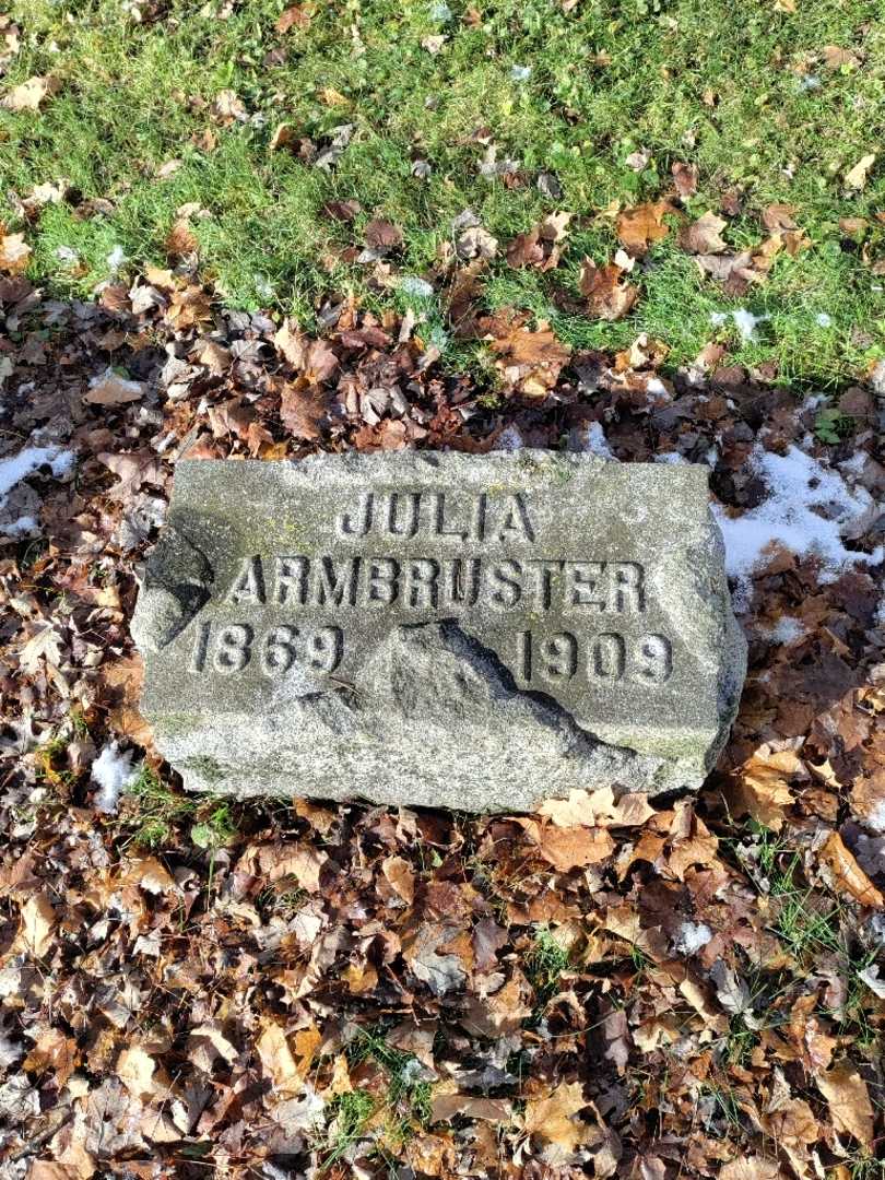 Julia Armbruster's grave. Photo 2