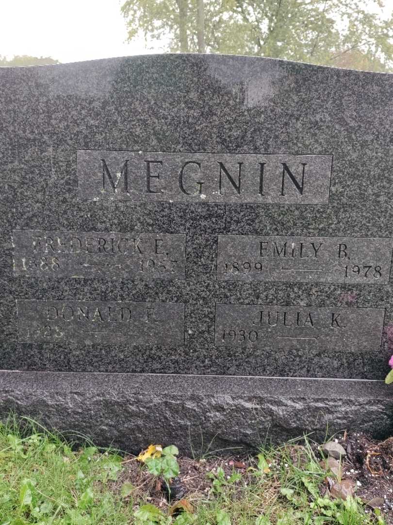 Emily Megnin's grave. Photo 4