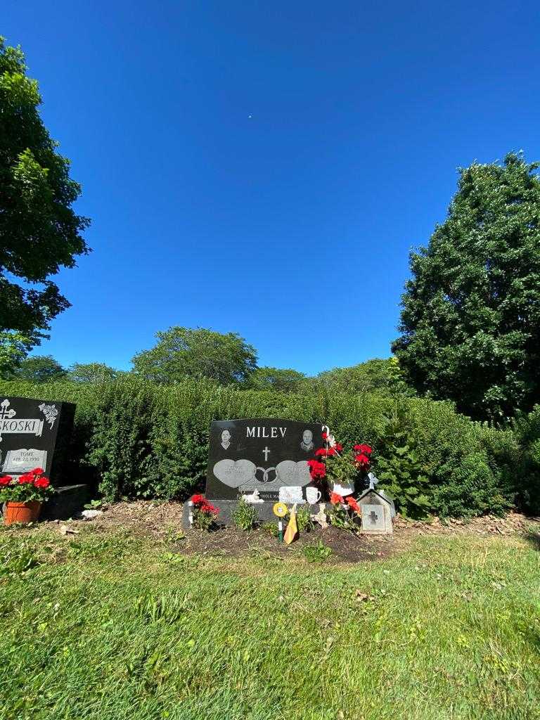 Dimitar Milev's grave. Photo 1