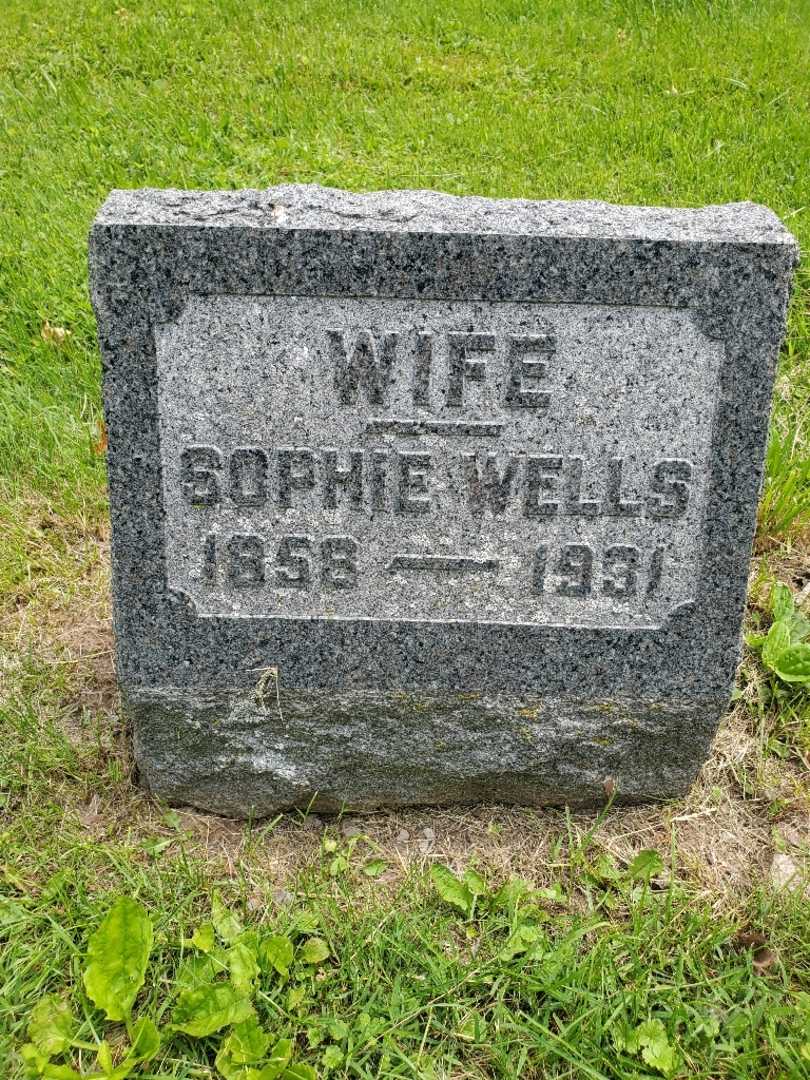Sophie Wells's grave. Photo 4