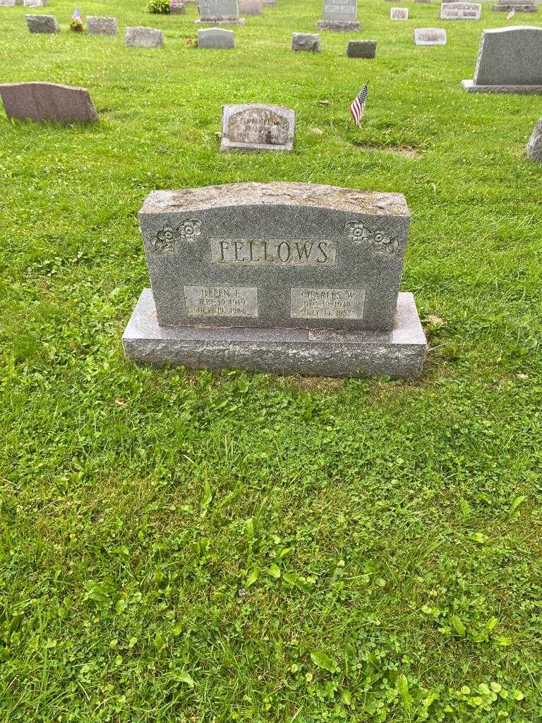 Charles W. Fellows's grave. Photo 2