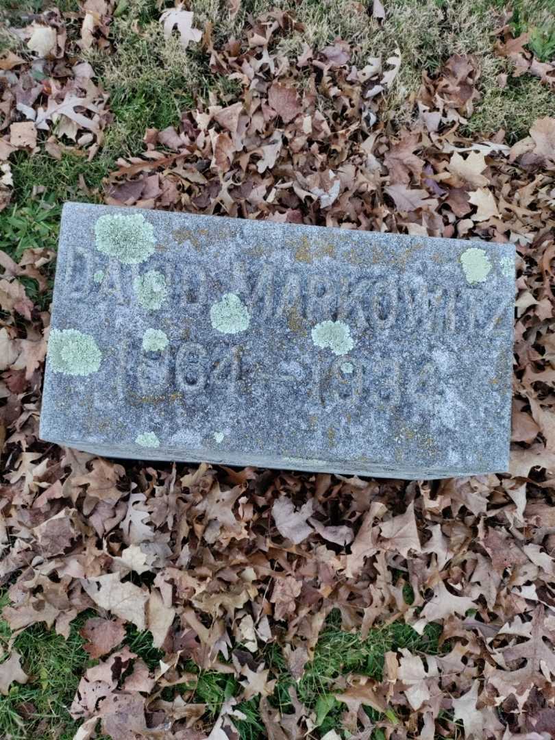 David Markowitz's grave. Photo 3