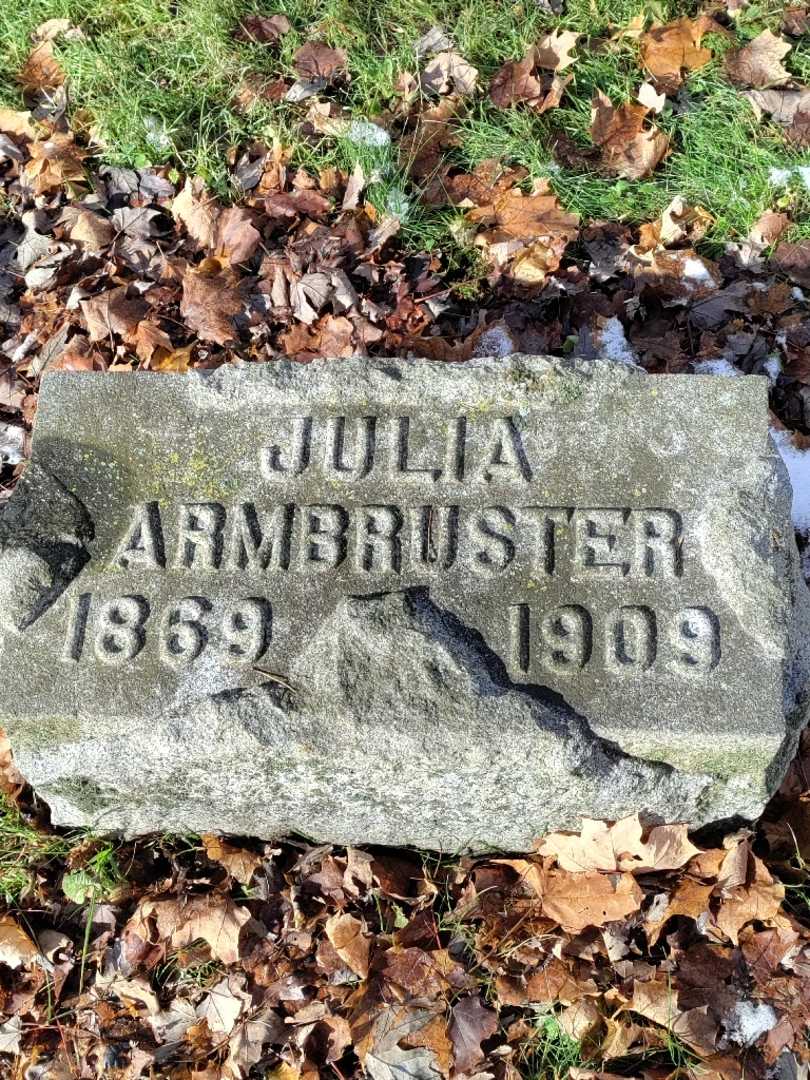 Julia Armbruster's grave. Photo 3