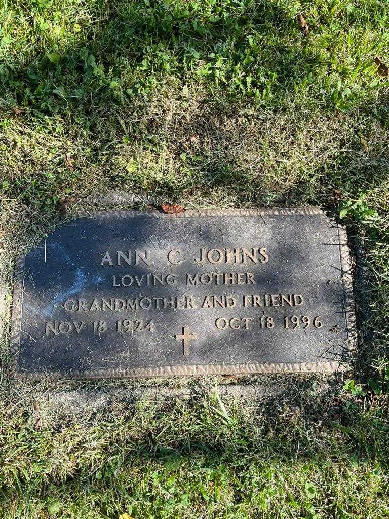 Ann C. Johns's grave. Photo 1