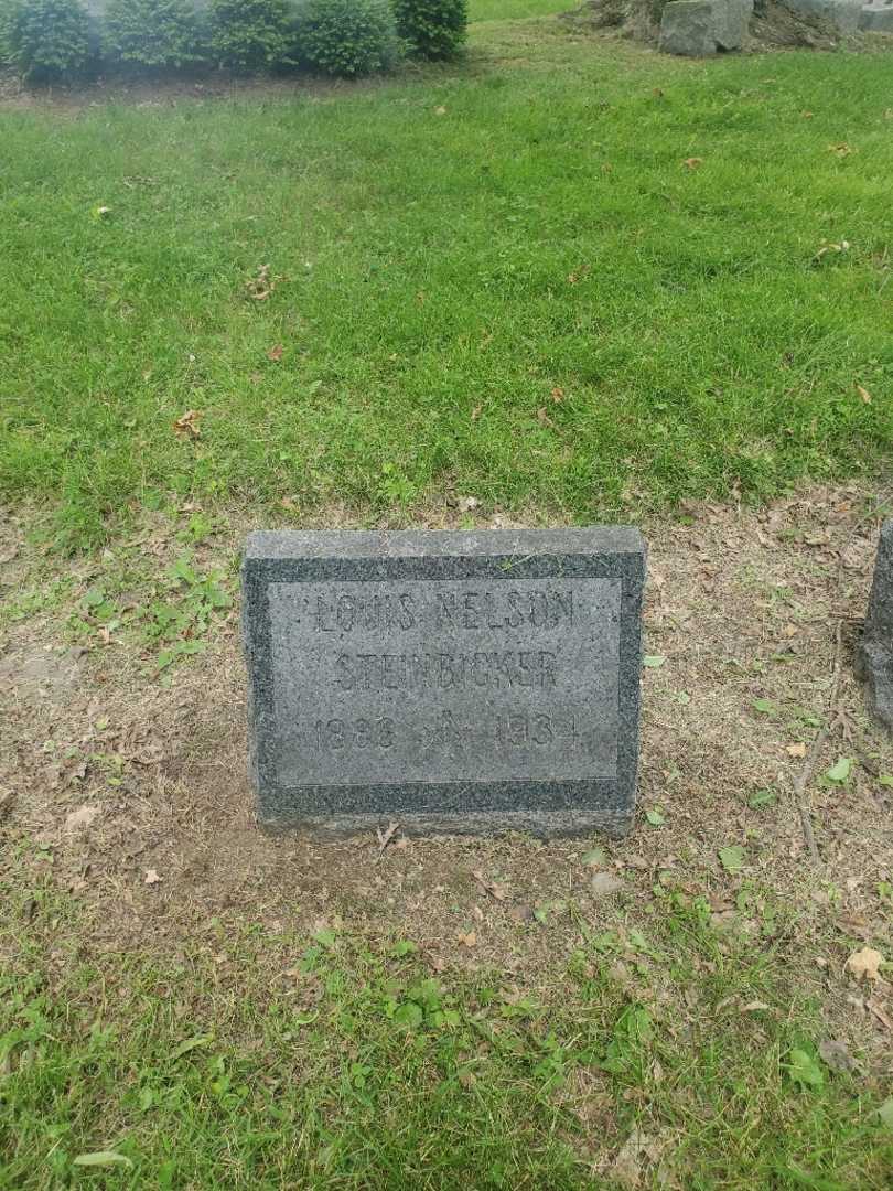 Louis Nelson Steinbicker's grave. Photo 2