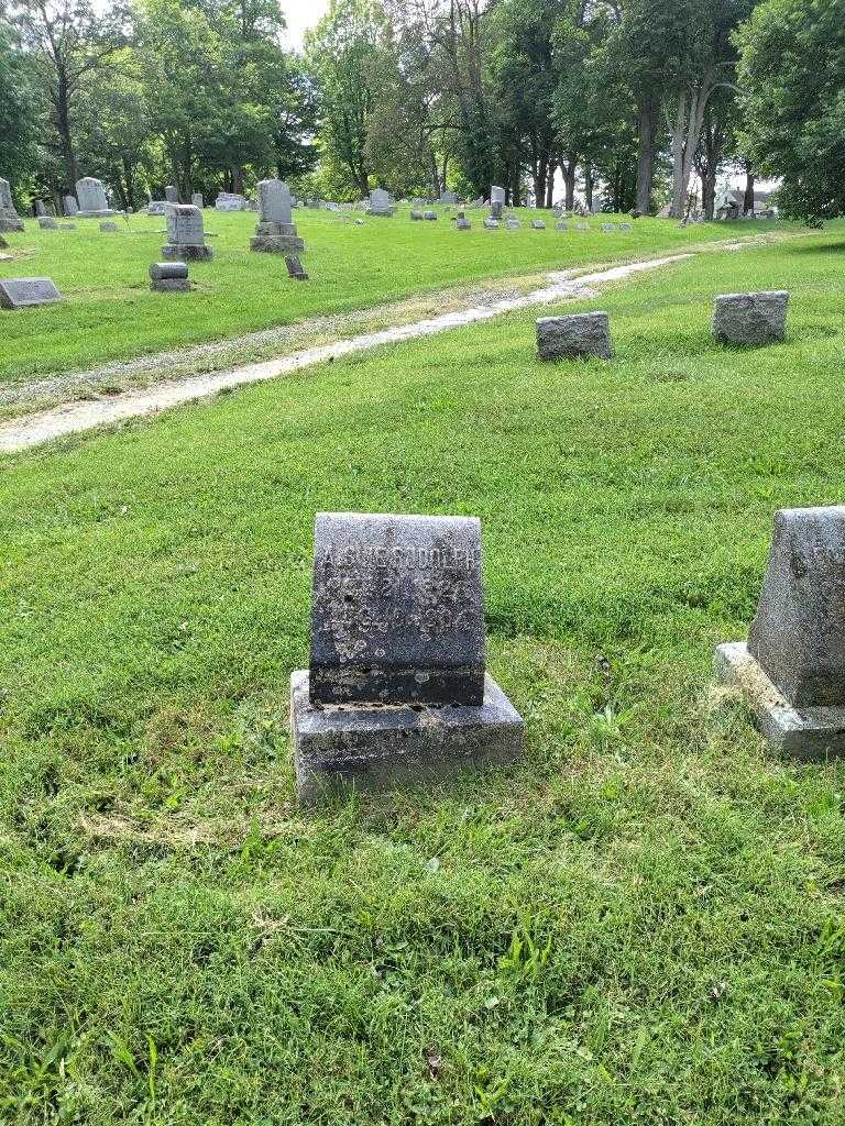 Sine A. Rudolph's grave. Photo 1