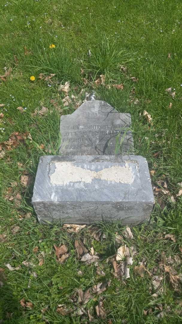 Thomas Dimitov's grave. Photo 2