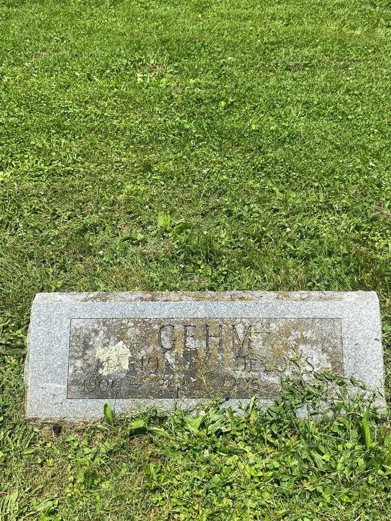 De Loss P. Gehm's grave. Photo 3