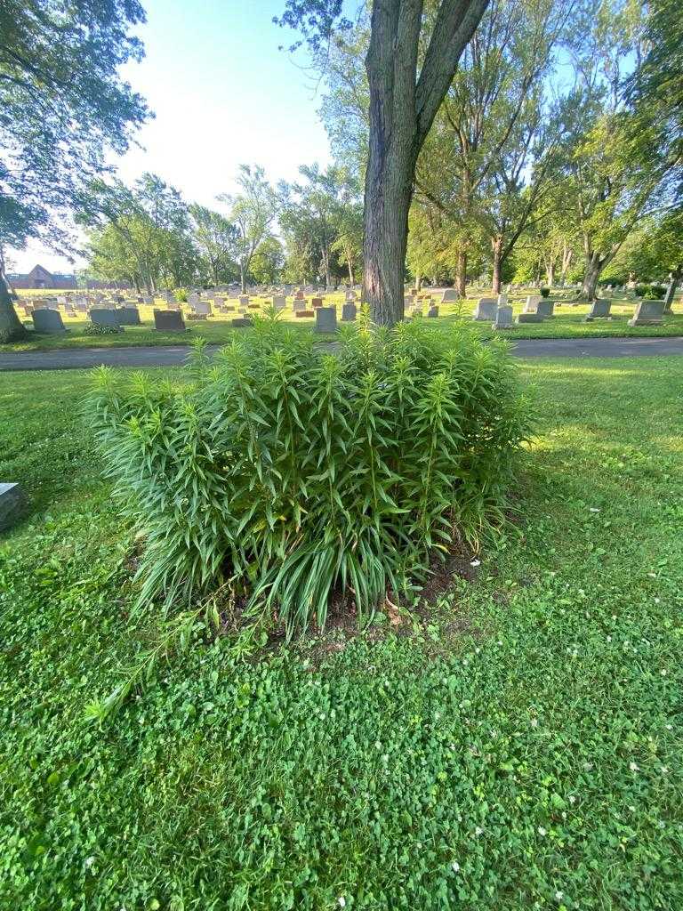 Helen B. Walmsley's grave. Photo 1