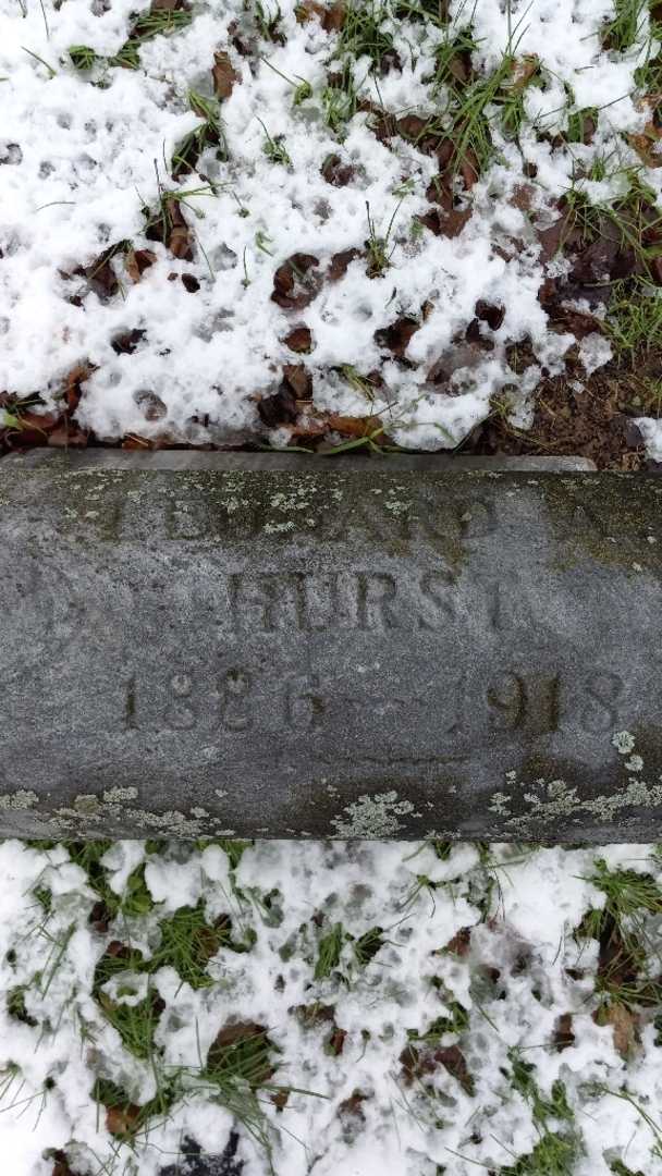 Edward N. Hurst's grave. Photo 3