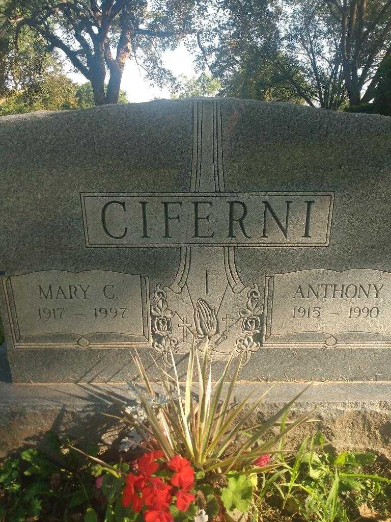 Anthony Ciferni's grave. Photo 3