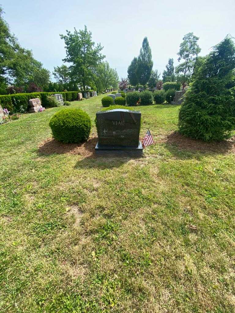 David J. Viau's grave. Photo 1
