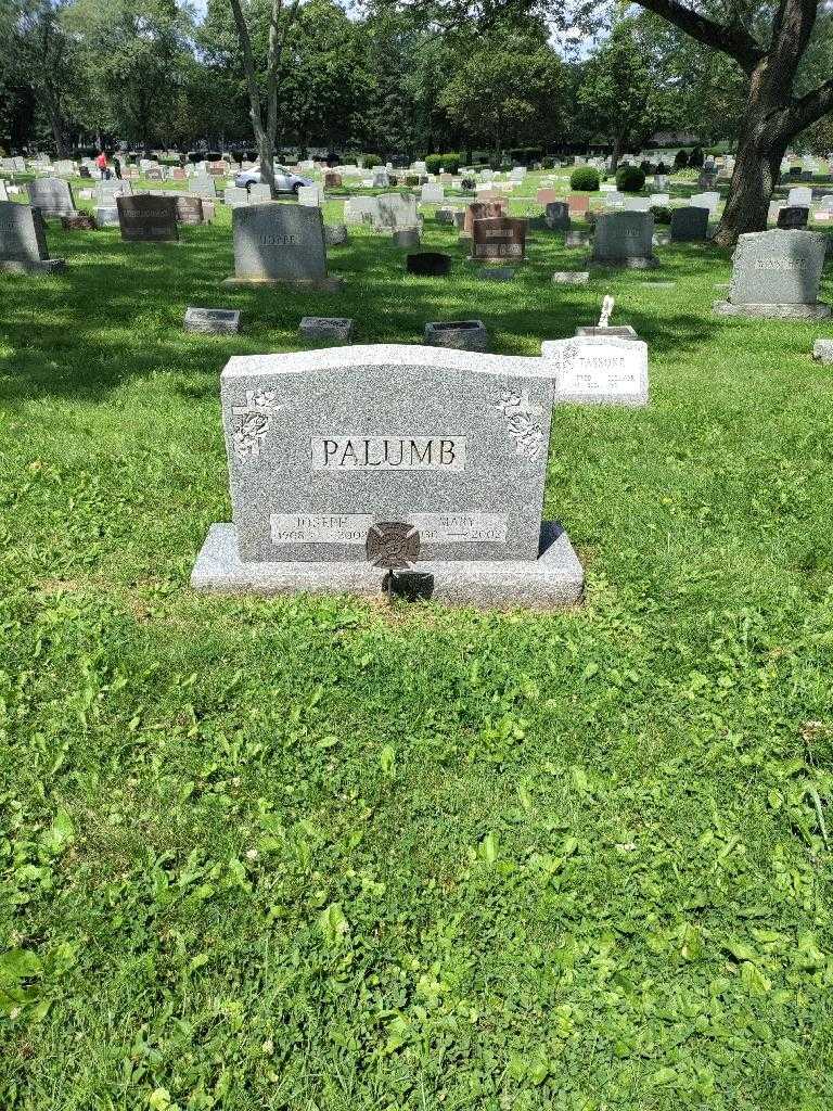 Joseph Palumb's grave. Photo 2