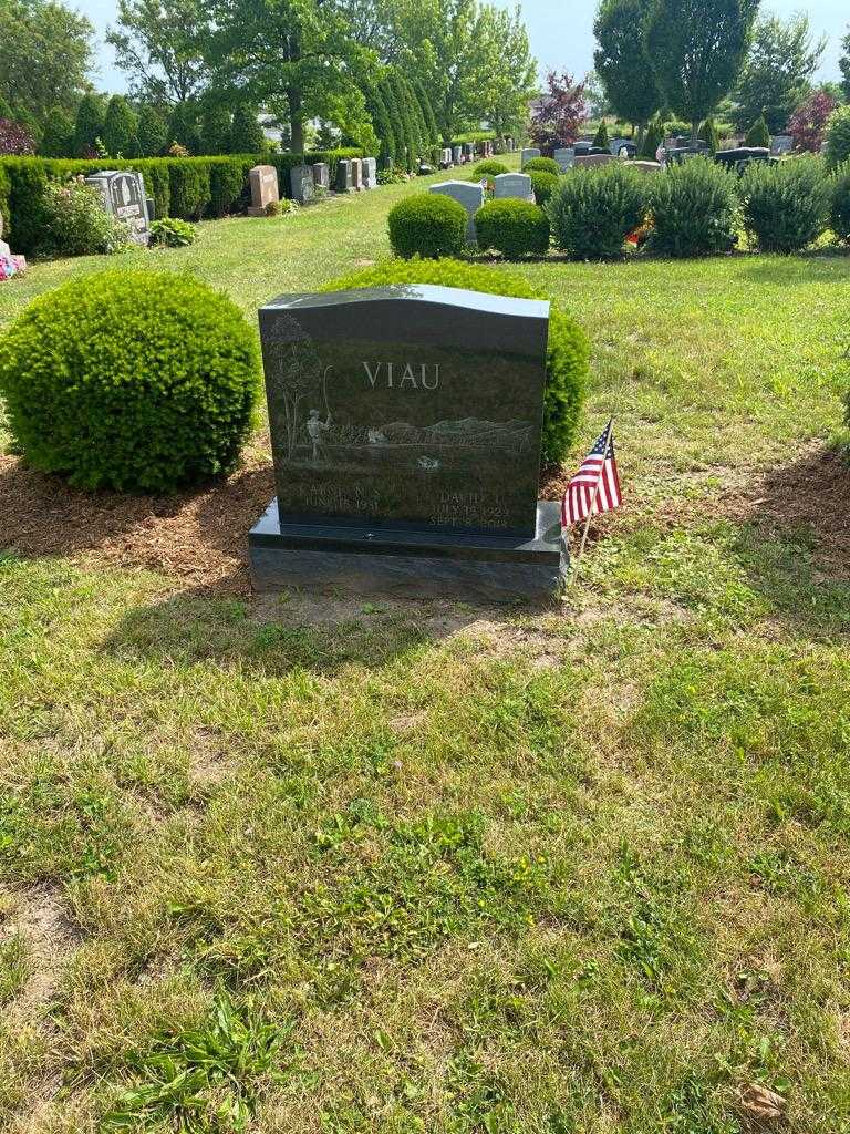 David J. Viau's grave. Photo 2
