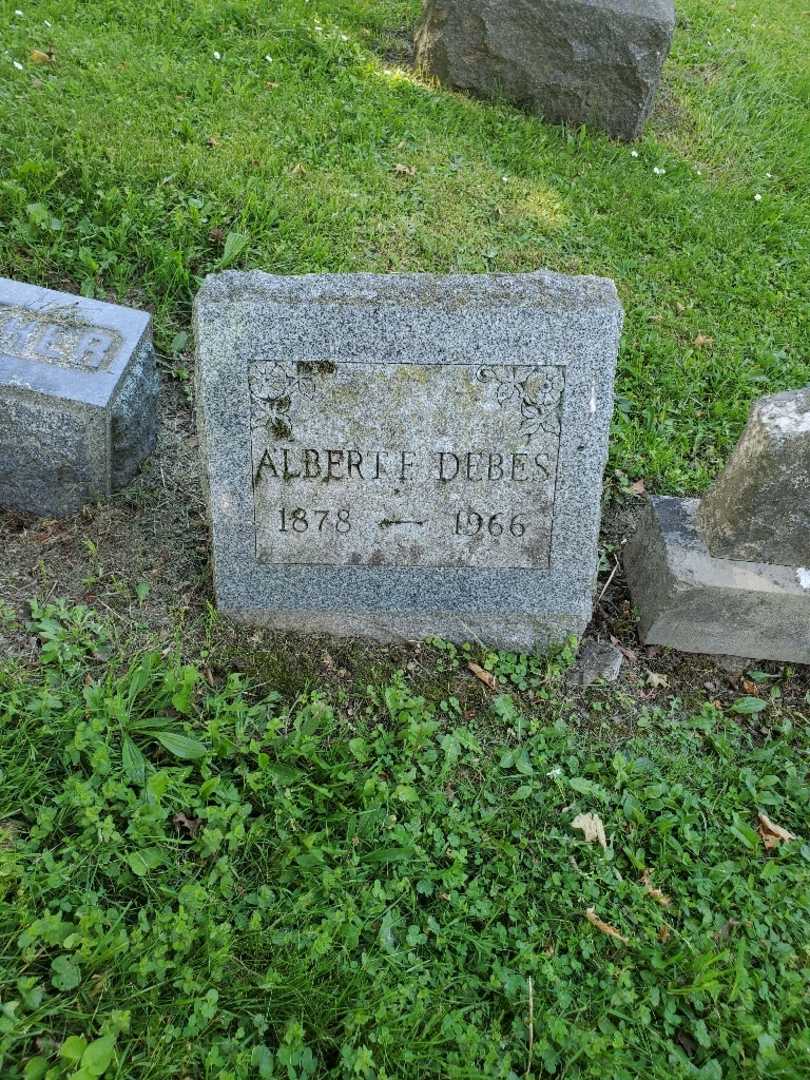 Albert F. Debes's grave. Photo 3