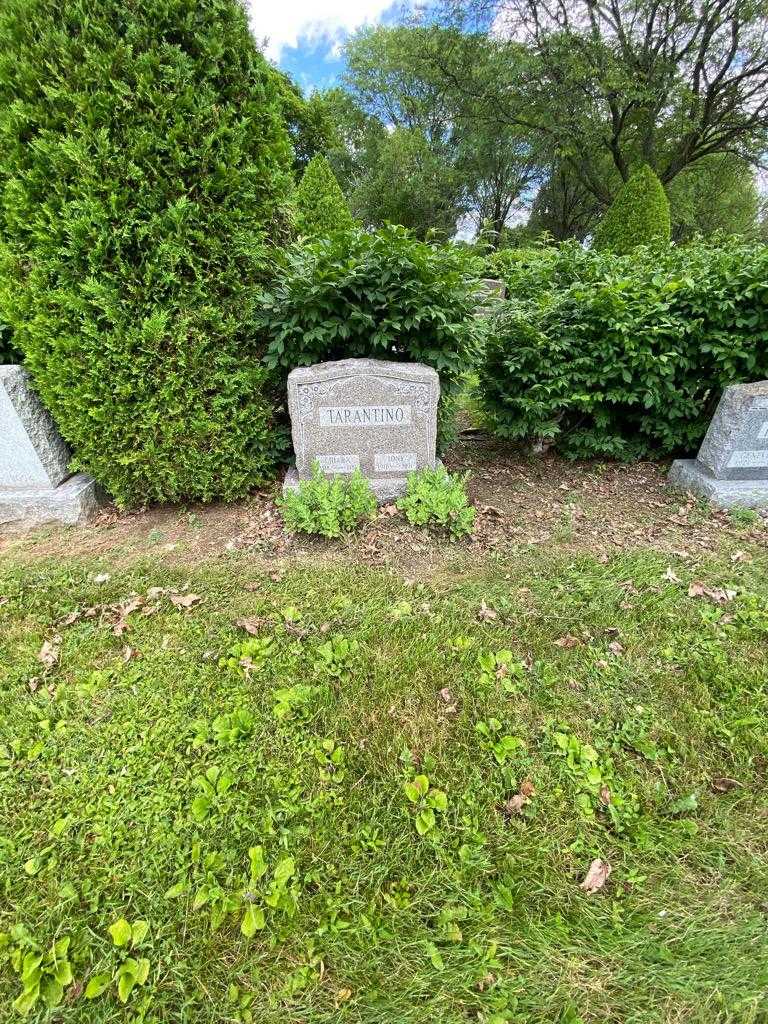 Tony Tarantino's grave. Photo 1