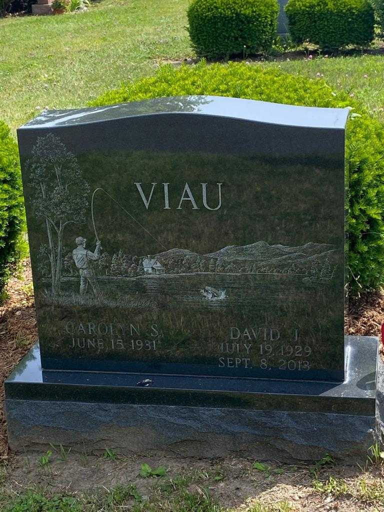 Carolyn S. Viau's grave. Photo 3