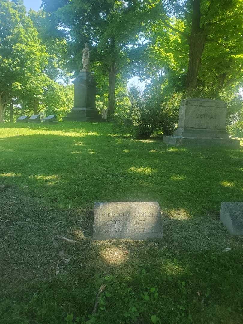 Harrison D. Sanford's grave. Photo 1