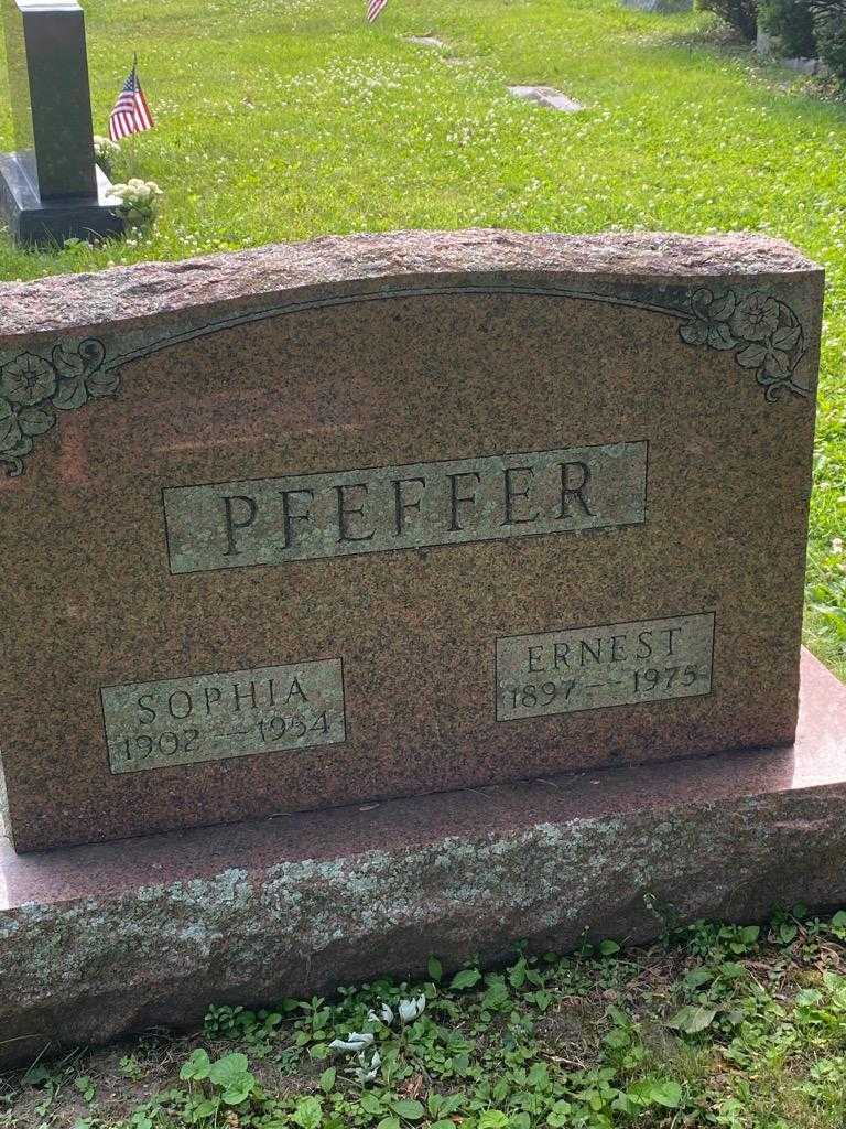 Sophia Pfeffer's grave. Photo 6