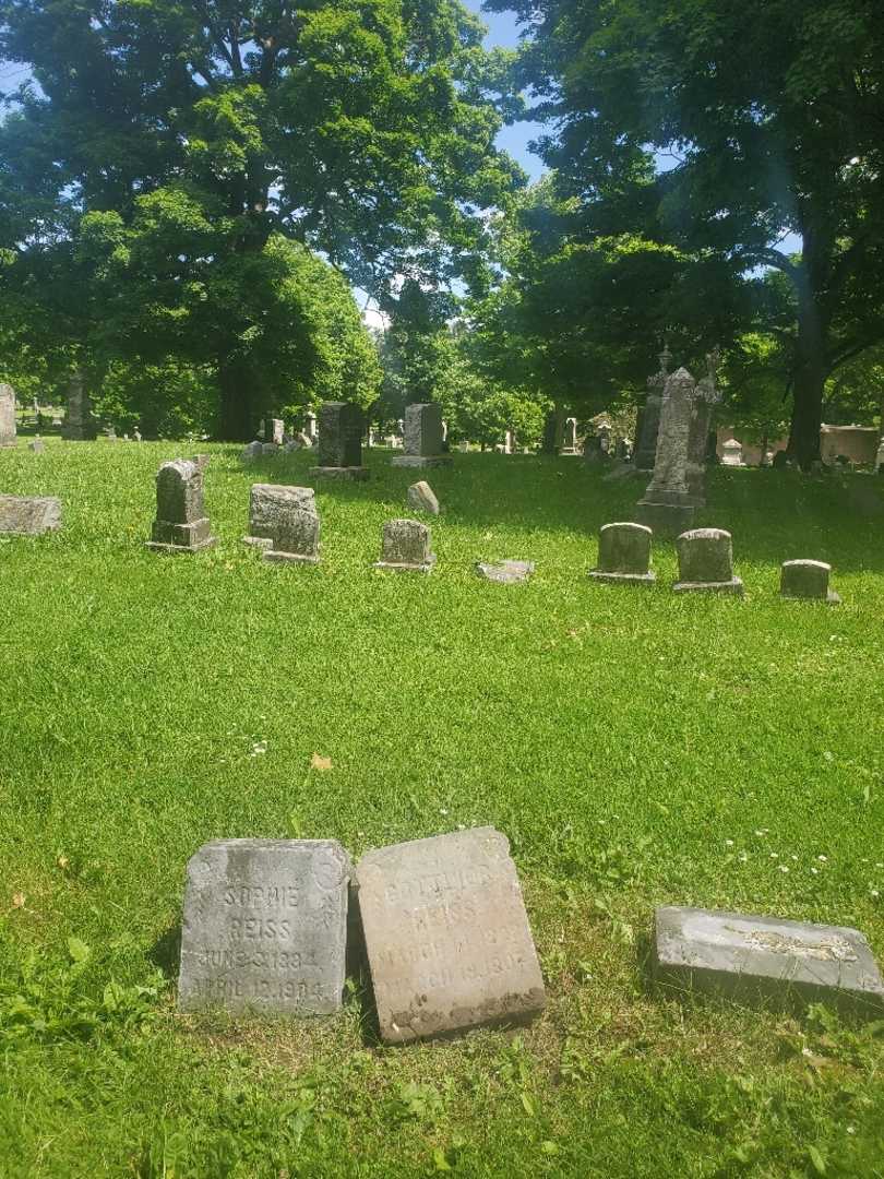Gottlieb Henry Reiss's grave. Photo 2