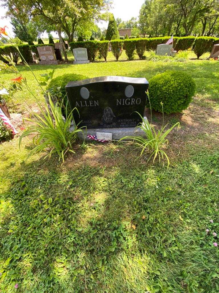 Wanita M. Allen's grave. Photo 1