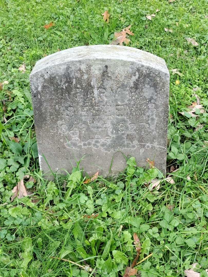 Henry B. Seeley's grave. Photo 3
