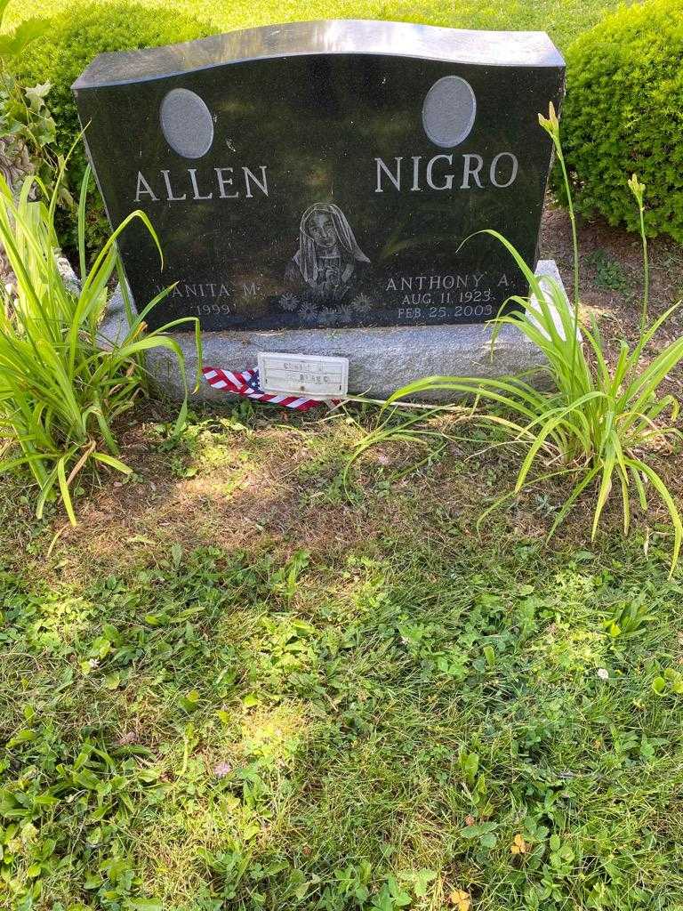 Anthony A. Nigro's grave. Photo 2