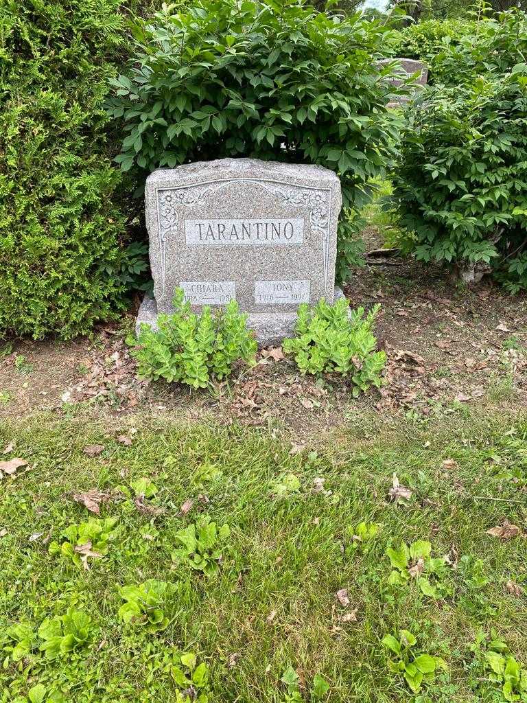 Tony Tarantino's grave. Photo 2