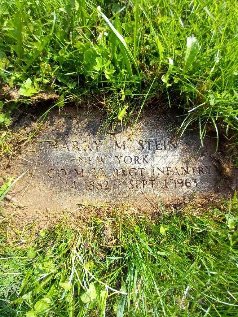 Harry M. Stein's grave. Photo 1