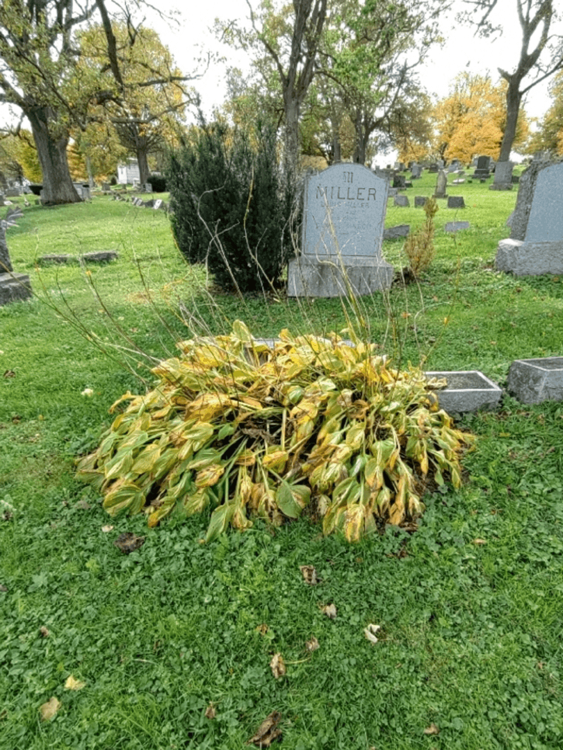 Sophie M. Voss's grave. Photo 2