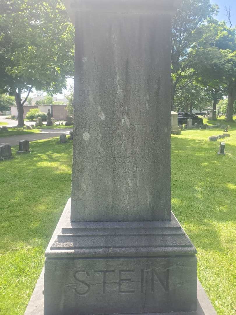 Sophia K. Stein's grave. Photo 4