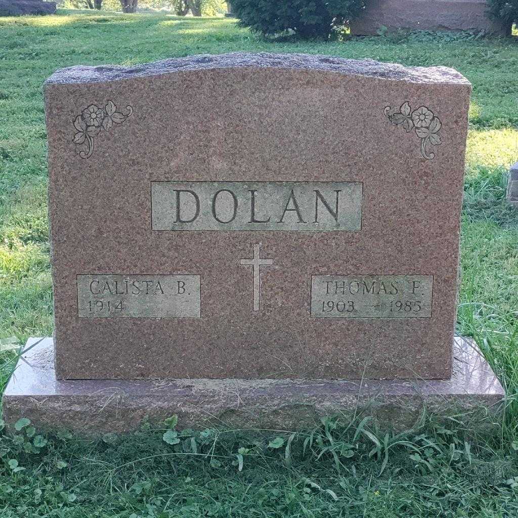 Thomas F. Dolan's grave. Photo 5