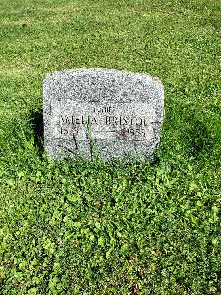 Amelia Bristol's grave. Photo 2