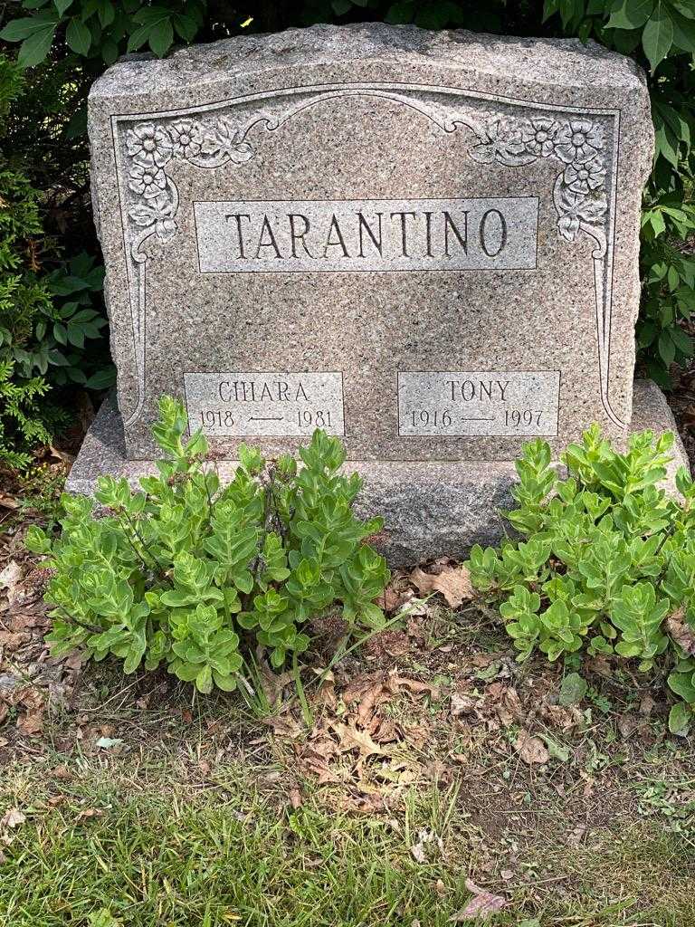 Tony Tarantino's grave. Photo 3