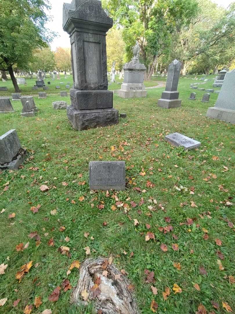 Arthur L. Woese's grave. Photo 1