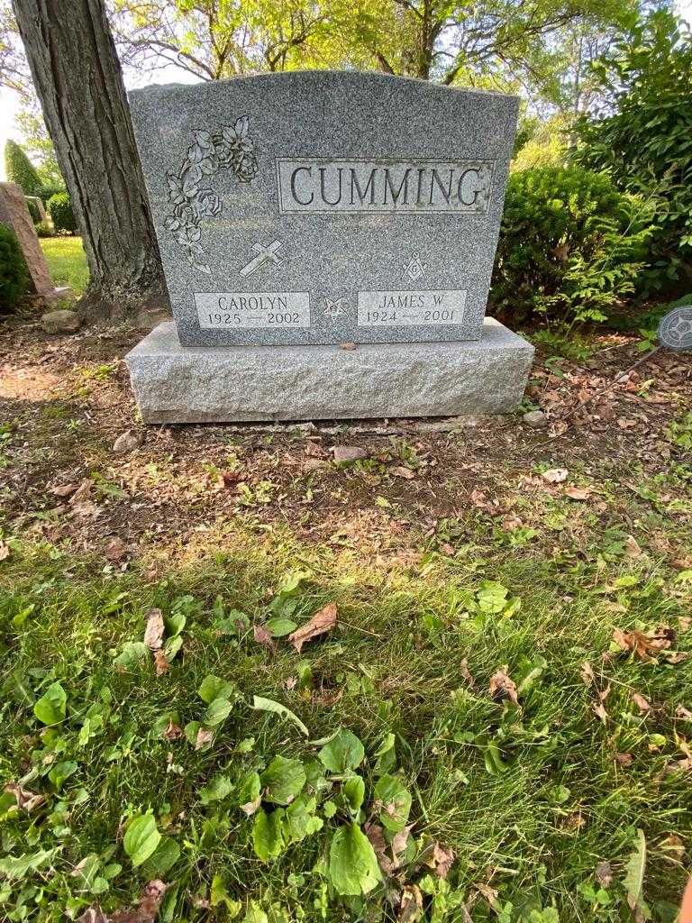 Carolyn Cumming's grave. Photo 1