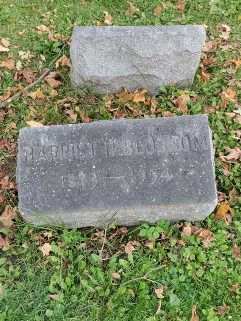 Harriet H. Blossom's grave. Photo 3