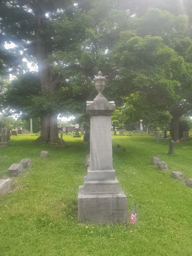 Sarah Frances Hannas's grave. Photo 2