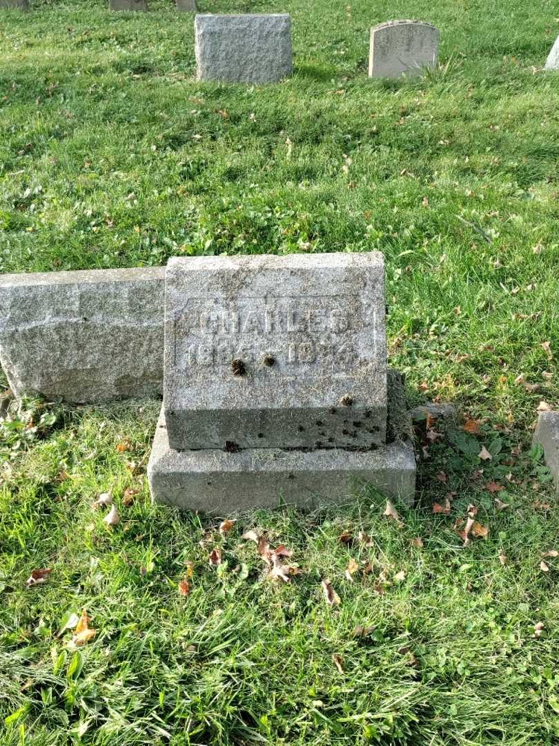 Charles H. Williams's grave. Photo 2