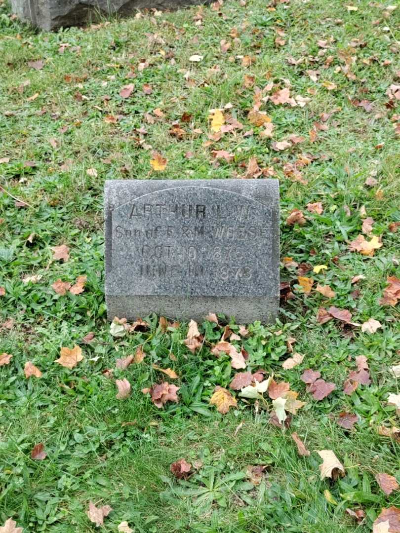 Arthur L. Woese's grave. Photo 2