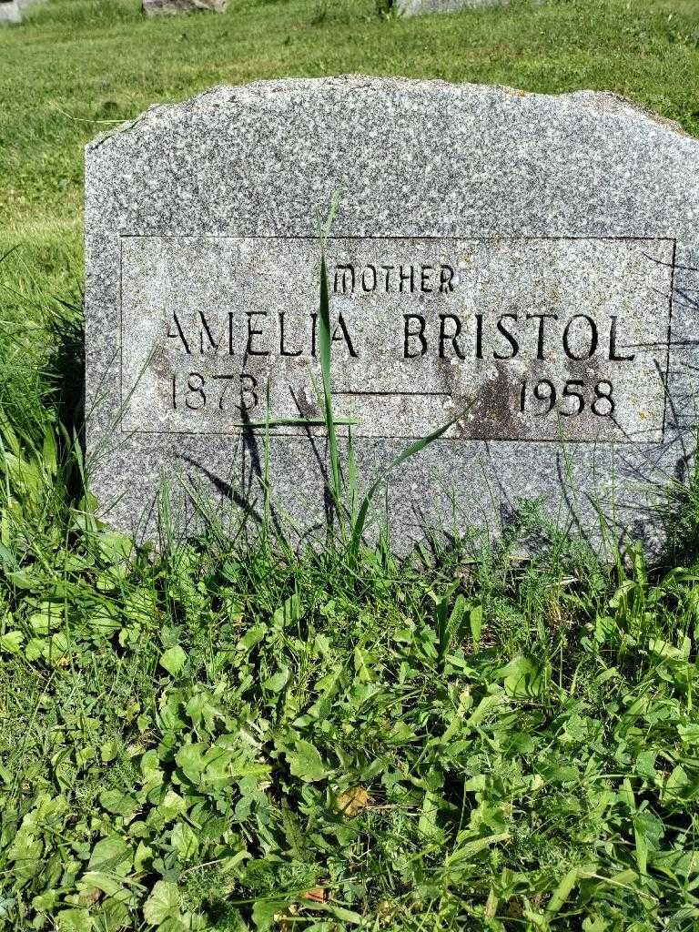 Amelia Bristol's grave. Photo 3