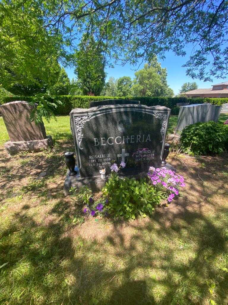 Thomas J. Beccheria's grave. Photo 1